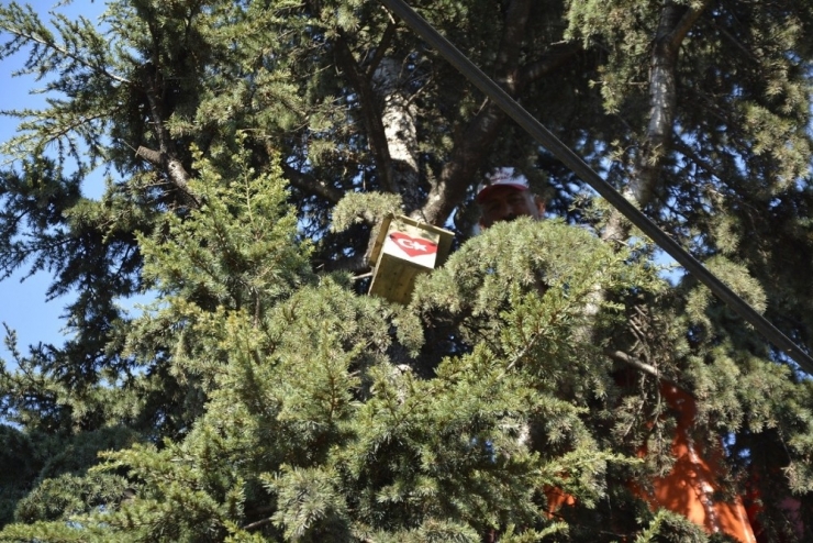 Körfez’de Öğrenciler Ağaçlara Kuş Yuvası Koydu