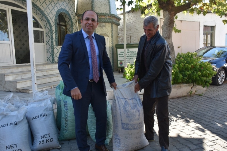 Milas’ta Organik Tarım İçin Yeşil Gübre Desteği