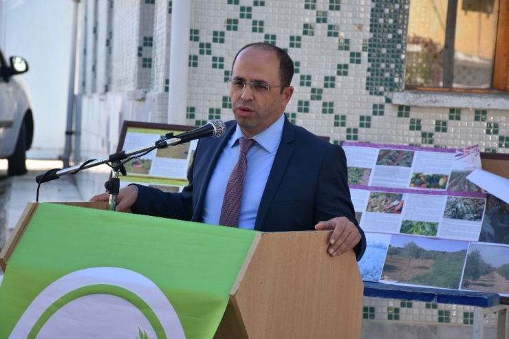 Milas’ta Organik Tarım İçin Yeşil Gübre Desteği