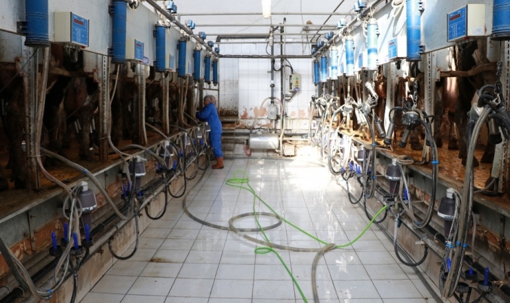 Üreticiler Süt Ürünlerinin Fiyatlarındaki Artışa Tepkili