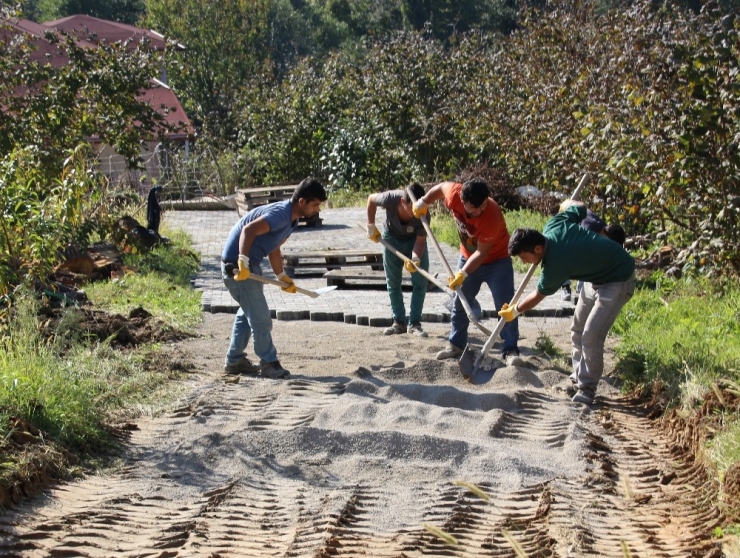 Akçakoca’da Asfalt Ve Kilit Parke Taşı Döşeme Devam Ediyor