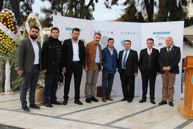 Zeytinyağı Sektörü İhracatını Üçe Katladı