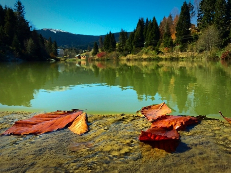 Balıklıgöl’de Sonbahar