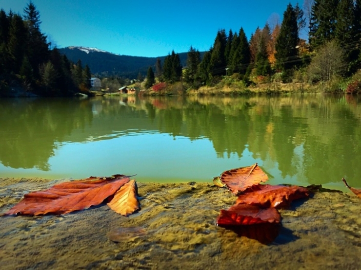 Balıklıgöl’de Sonbahar
