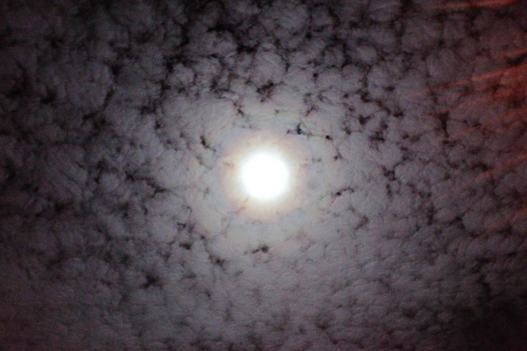 Başını Kaldıran Herkes Havadaki Güzelliğe Hayran Kaldı