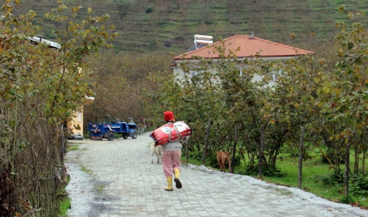Terk Edilmiş 120 Köpeğe Yuva Oldular