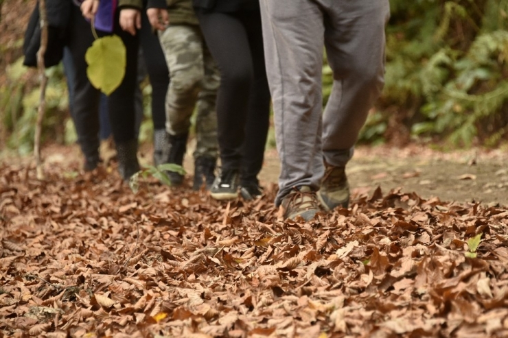 Gümüşhaneli Dağcılar, Örümcek Ormanları’nda Doğa Yürüyüşü Gerçekleştirdi