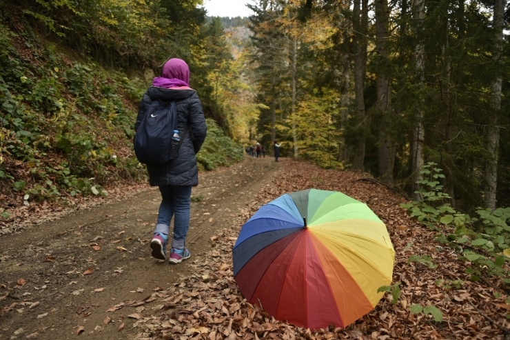 Gümüşhaneli Dağcılar, Örümcek Ormanları’nda Doğa Yürüyüşü Gerçekleştirdi