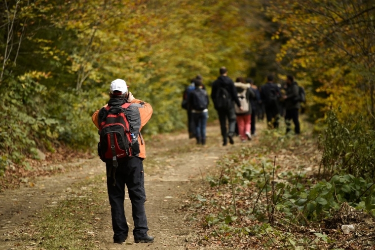 Gümüşhaneli Dağcılar, Örümcek Ormanları’nda Doğa Yürüyüşü Gerçekleştirdi