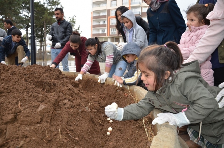Özel Öğrenciler Lale Soğanlarını Toprakla Buluşturdu
