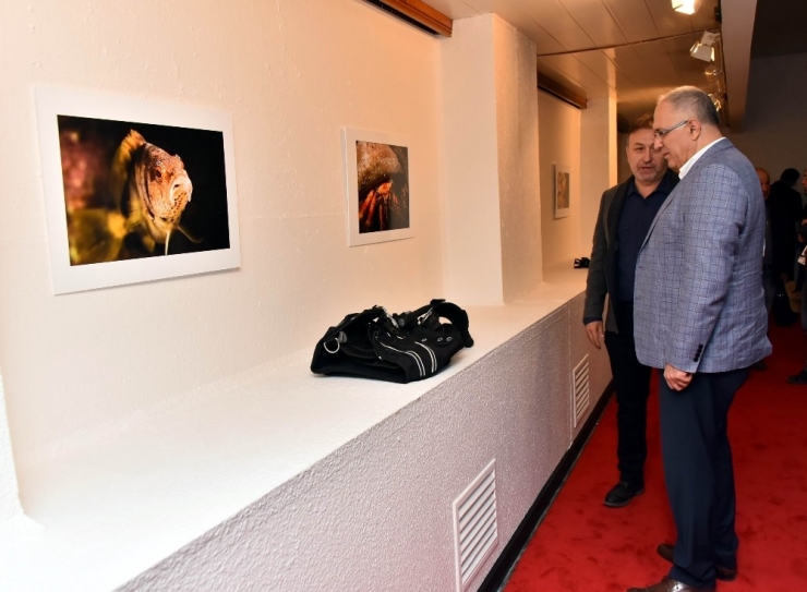 Su Altının Sırları Fotoğraflarla Hayat Buldu