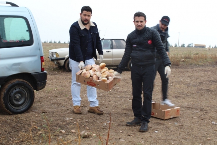 Yabani Hayvanlar Yemlendi