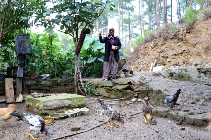 Trafik Kazasıyla Gelen Mani Söyleme Hastalığı Ümmani Teyzenin Evine Neşe Getirdi