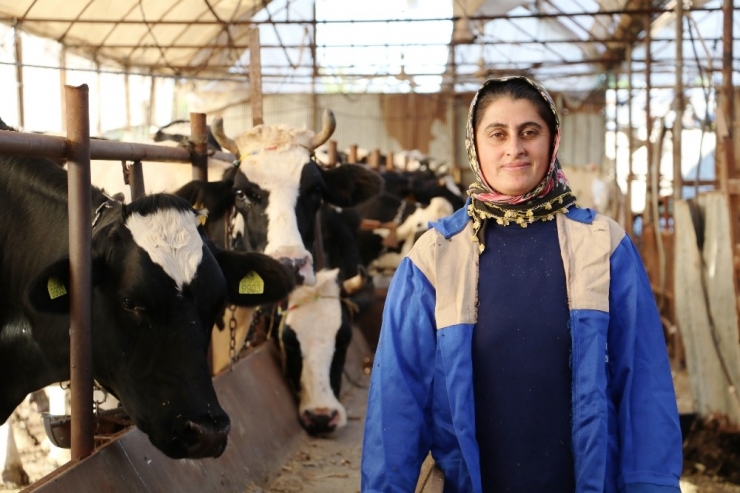 4 Bilezikle Servet Sahibi Oldu