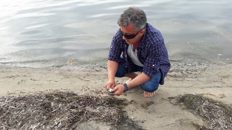 Altınova’da Denizde Demir Madeni Çıkarmaya Hazırlanıyorlar