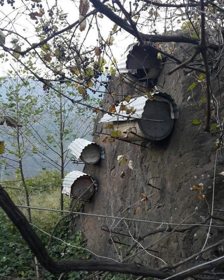 Doğu Karadeniz’de Geleneksel Arıcılık Tükenmek Üzere