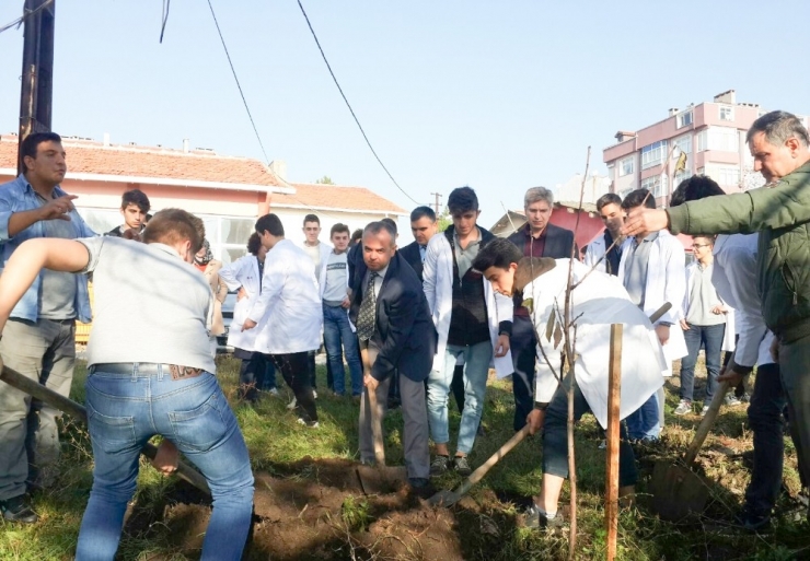 43 Yıla 43 Fidan Etkinliği