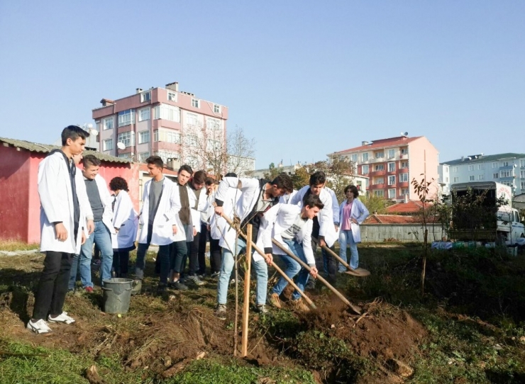 43 Yıla 43 Fidan Etkinliği