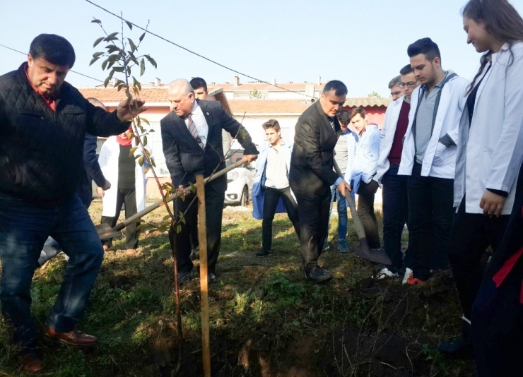 43 Yıla 43 Fidan Etkinliği