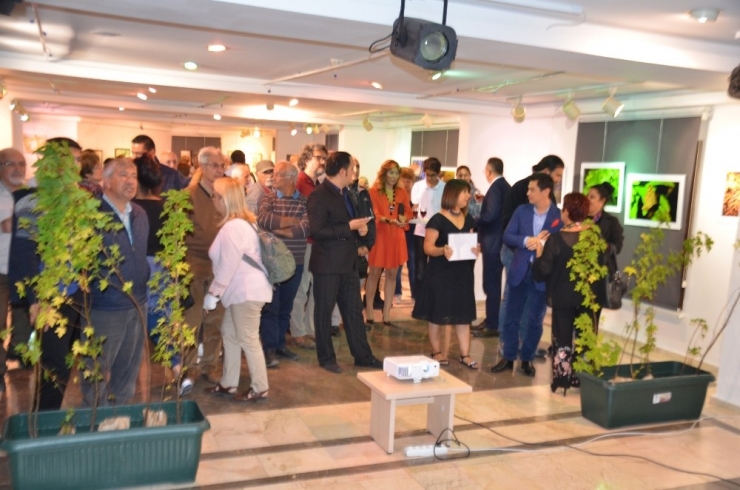 Sığla İçin Sanat