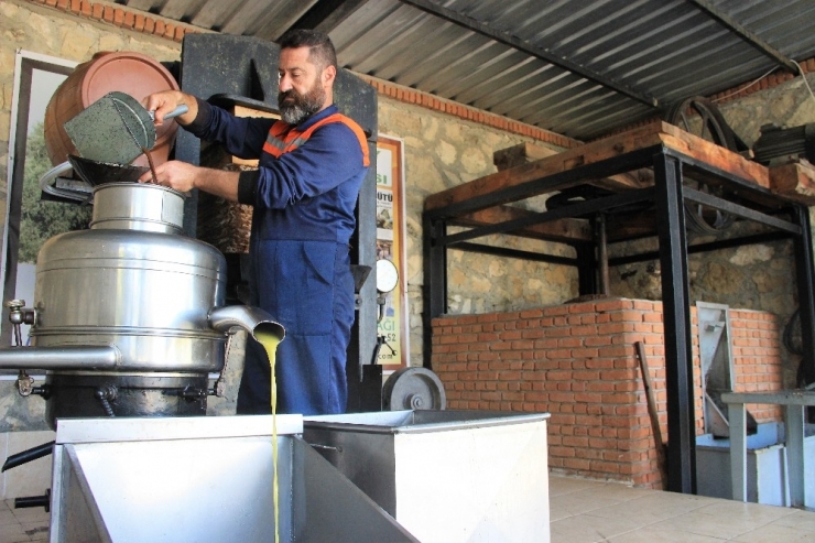 Zeytinyağı Kalite Bakımından 3 Sınıfa Ayrılıyor