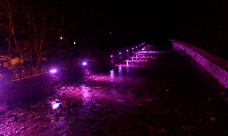 Dere İçi Işıl Işıl Oldu