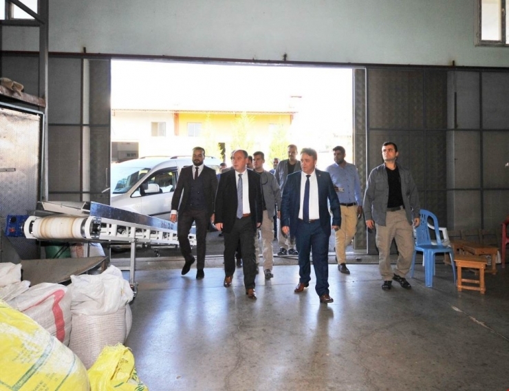 Coşkun: “Yer Fıstığı Konusunda Her Türlü Desteği Vermeye Hazırız”