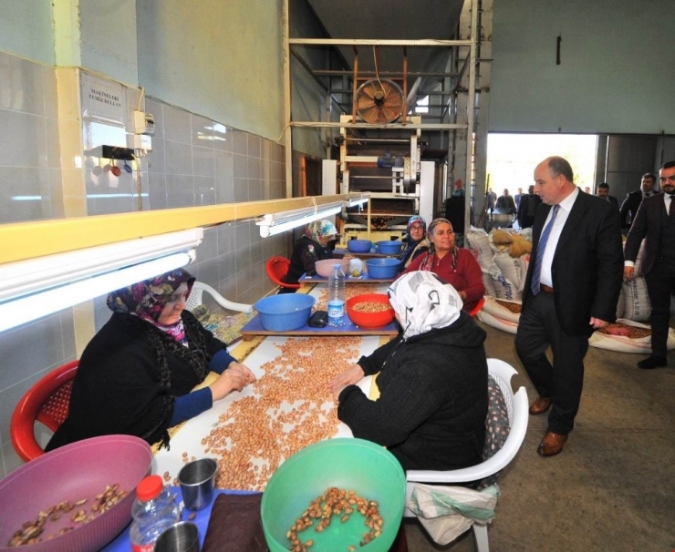 Coşkun: “Yer Fıstığı Konusunda Her Türlü Desteği Vermeye Hazırız”