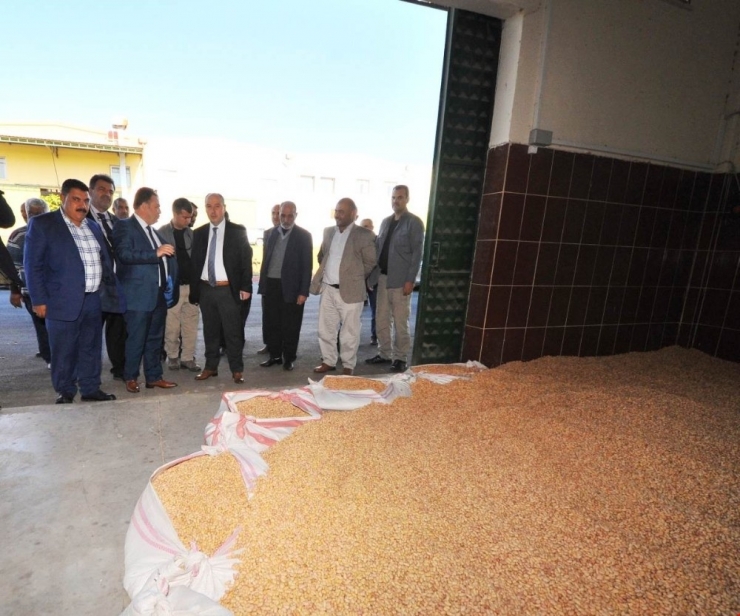 Coşkun: “Yer Fıstığı Konusunda Her Türlü Desteği Vermeye Hazırız”