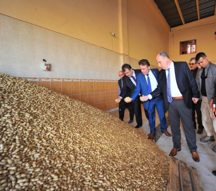 Coşkun: “Yer Fıstığı Konusunda Her Türlü Desteği Vermeye Hazırız”