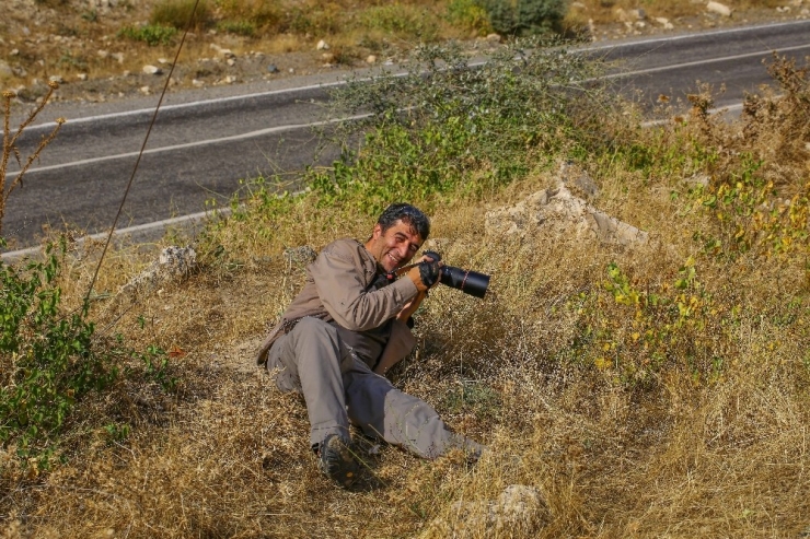 Siirt Kırsalından Bu Kez Sevimli Haber Geldi