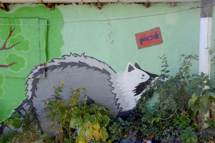 Şenlikli Sokak Beğeni Topluyor