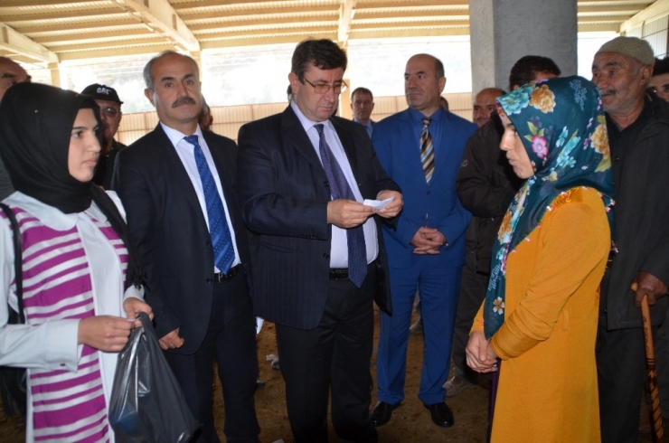 Bafra’da Genç Çiftçilere Hibe Koyun Desteği