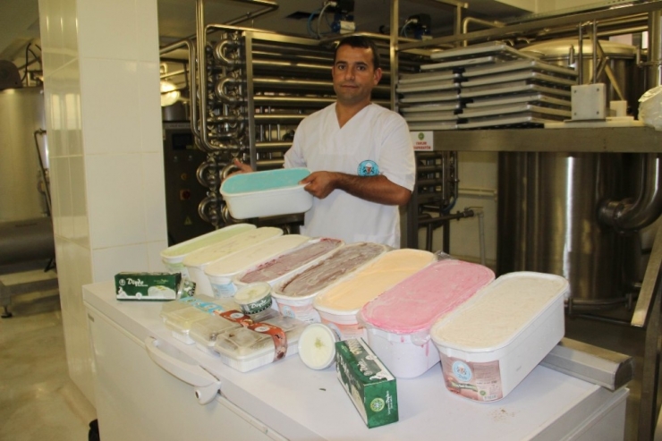 Kurulan Tesis Üreticinin Gelirini İkiye Katladı