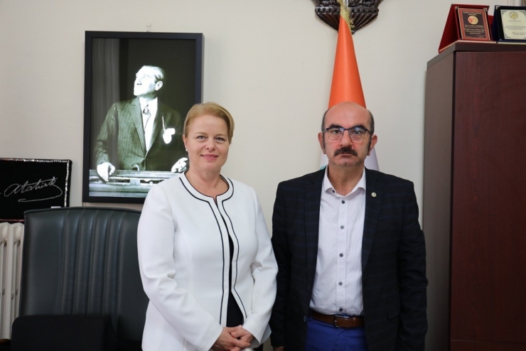 Dünya Diyabet Günü Etkinlikleri