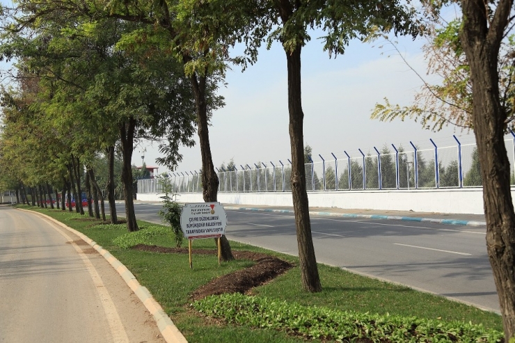 Büyükşehir’den Kışlık Çiçek Dikimi