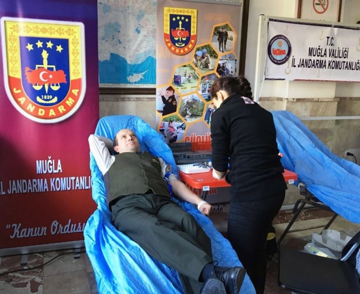 Muğla Jandarması Kan Verdi