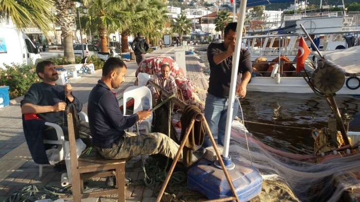 Güllük Sahili Kahverengiye Boyandı