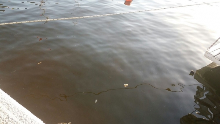 Güllük Sahili Kahverengiye Boyandı