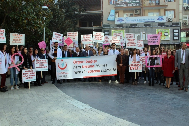 Organ Bağışına Gençlerden Büyük İlgi