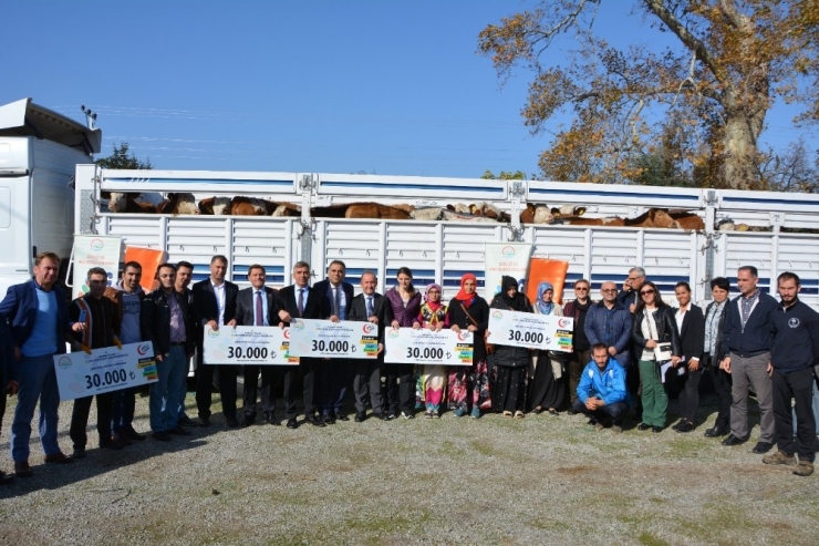 Genç Çiftçiler Hayvanlarına Kavuştu