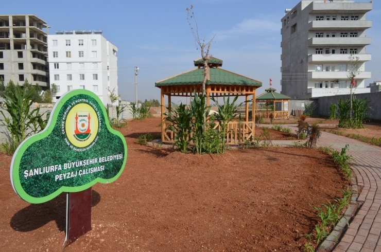 Büyükşehirle Suruç Parklara Kavuşuyor