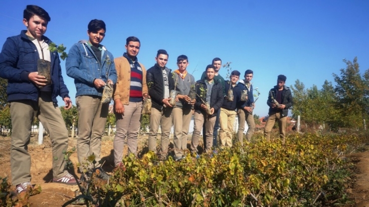 Öğrencilerin Yetiştirdiği Fideler Okullarına Gelir Olarak Dönüyor