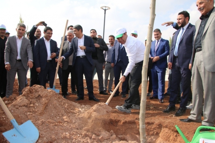 Şanlıurfa’da 2 Milyon Ağaç Toprakla Buluşturulacak