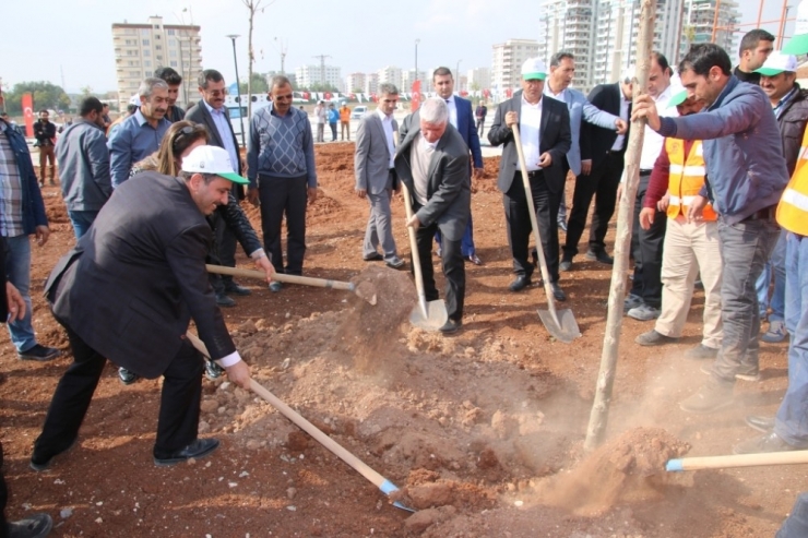 Şanlıurfa’da 2 Milyon Ağaç Toprakla Buluşturulacak