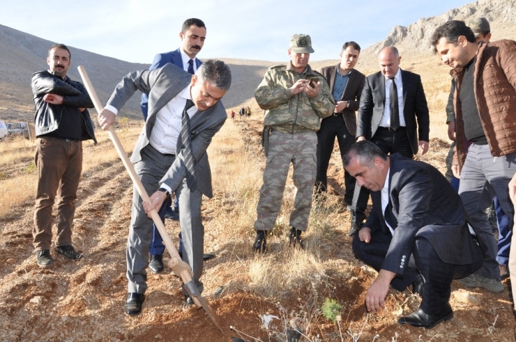 Şehitler Anısına 500 Fidan Diktiler