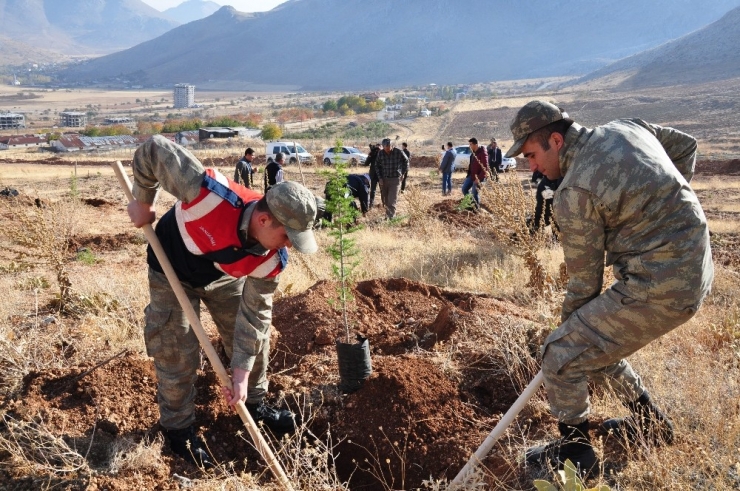 Şehitler Anısına 500 Fidan Diktiler