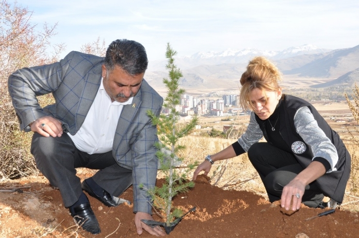 Şehitler Anısına 500 Fidan Diktiler