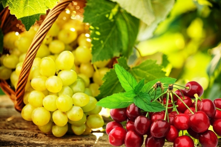 Kiraz Ve Üzüm Uzakdoğu Ülkelerine Hava Kargoyla Ulaşacak