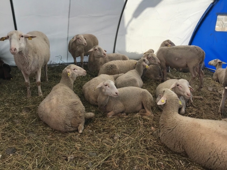Tokat Tarım Fuarı’nın Kar Getiren Ürünleri